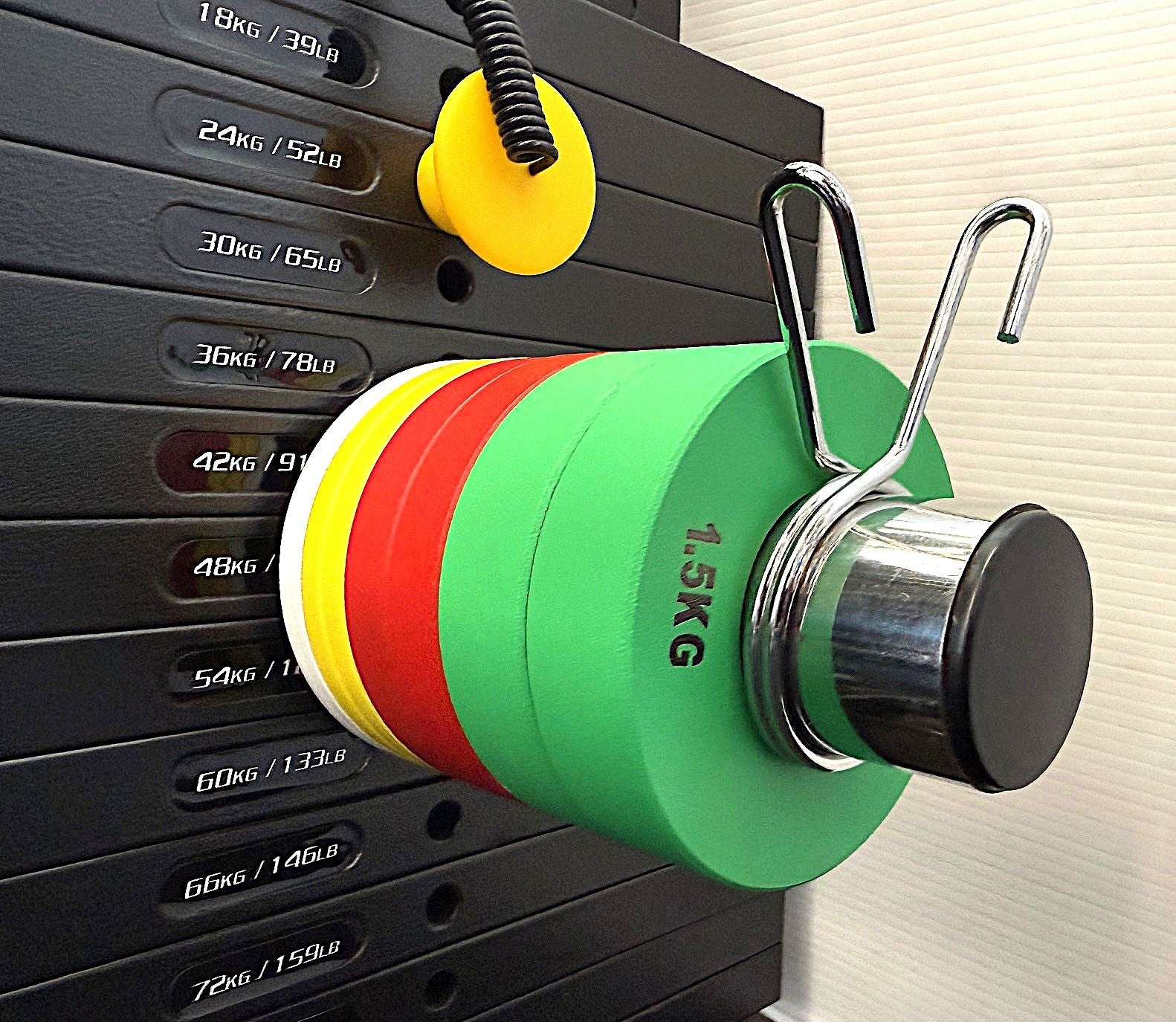 Micro Fractional Weight Plate Set 6.5 Kg Pack + Magnetic Weight Stack Load Horn