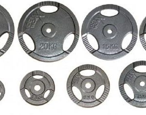 weight plates1 10