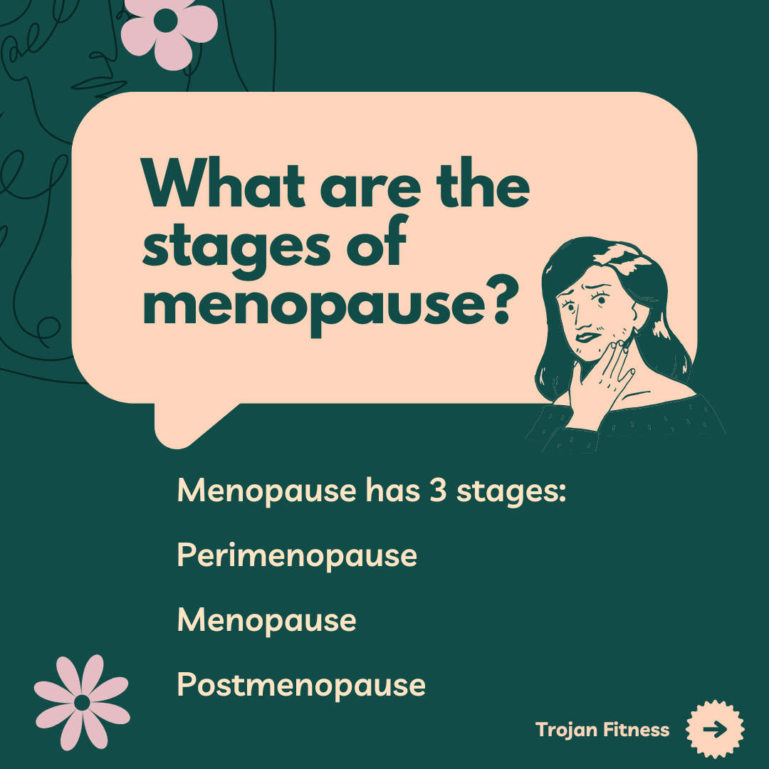 what are the stages of menopause